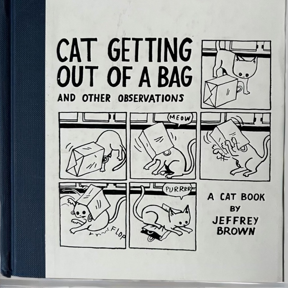 Cat Getting Out of a Bag And Other Observations Comics Hardback by Jeffrey Brown